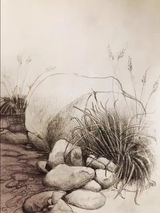 Un rincón del río pelayos