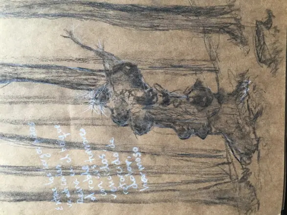 Drawings — work 49