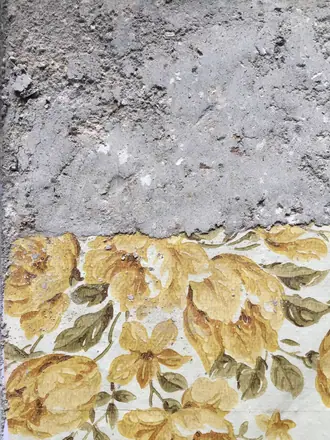 Ceniza de encina _ papel