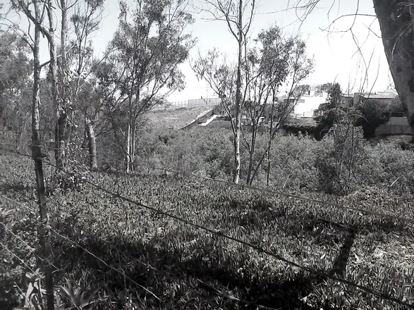 México — work 14