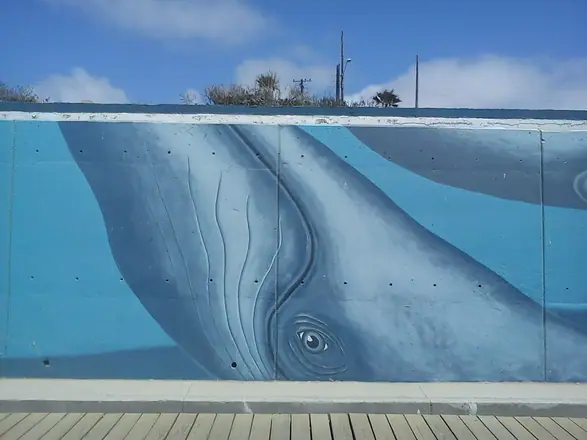 México — work 74