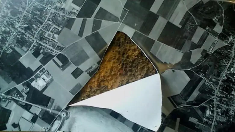 El mapa y el territorio 100 x 45. Collage. 2012
