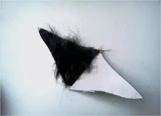 Hair