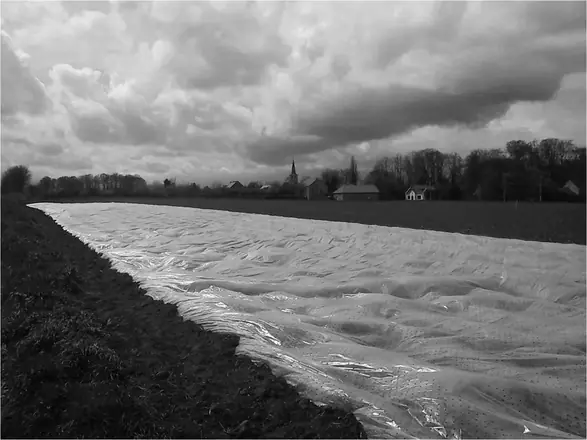 Belgium — work 14