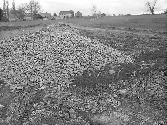 Belgium — work 34