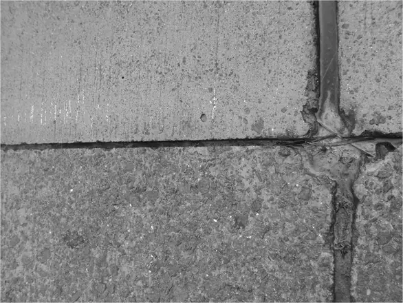 Belgium — work 36