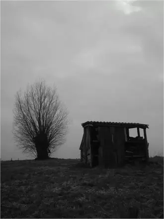 Belgium — work 41