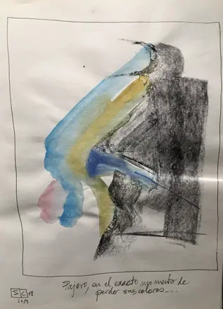 Pájaro en el justo momento de perder sus colores