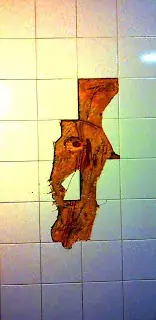 Past-present. desveladuras Apicultor. 2011