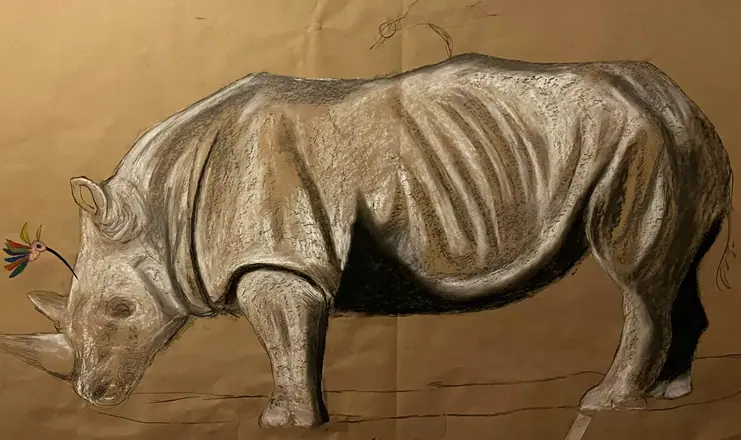 Rhino _ colibrí