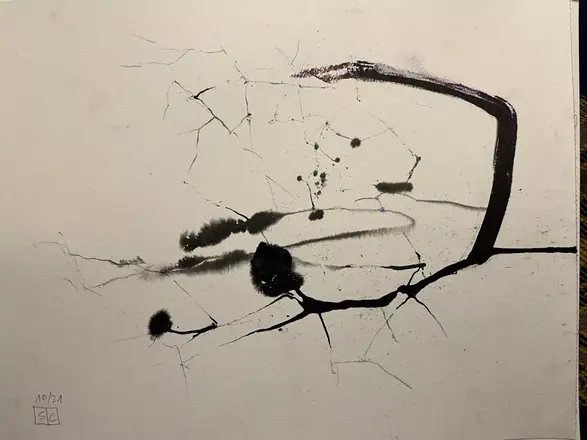 Rizoma sketch 9