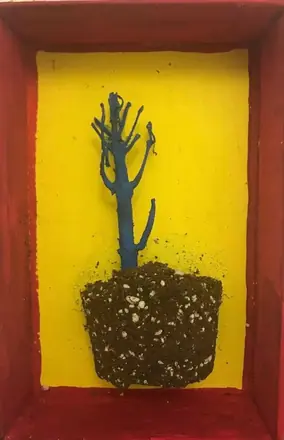 Strato mexicano